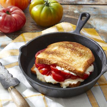 tomato and fontina grilled cheese