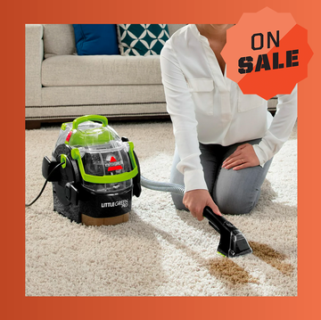 bissell little green portable carpet cleaner and little green pro portable carpet cleaner